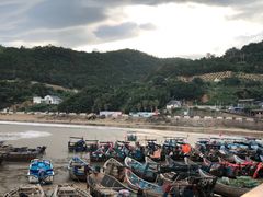 -渔寮风景区