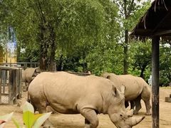 -西安秦岭野生动物园