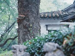-法云安缦酒店