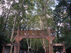 -灵谷景区