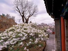 -恭王府博物馆