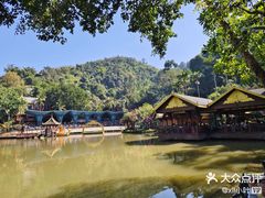 -西双版纳原始森林公园