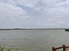 -盐城丹顶鹤湿地生态旅游区