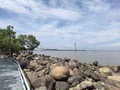 -吴淞炮台湾湿地森林公园烧烤区
