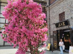 -汪玉霞(汉口里店)