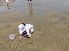 -刘家湾赶海园