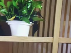 -尚荟汤泉生活馆