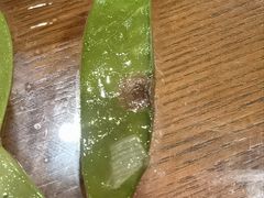 -王村姑老土炕莜面村(张北店)