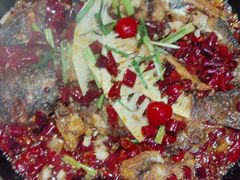 -老板恋上鱼(恒隆广场店)