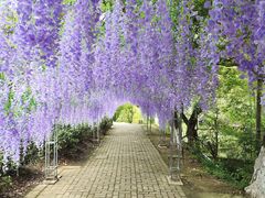 -宝岩生态观光园