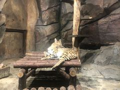 -波塞冬旅游度假区