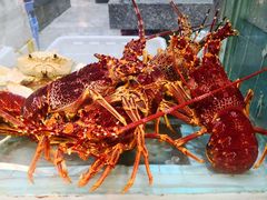 -海逸海鲜酒家(古北店)