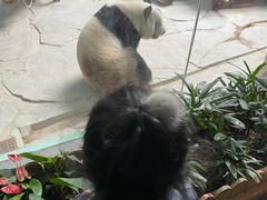 -灵玲国际马戏城