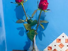 -火车头法国西餐厅