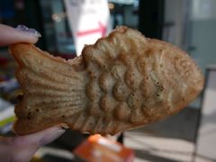 -西归浦每天偶来市场