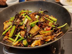-新乾隆酒楼(帝景园店)
