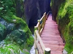 -牛背梁国家森林公园