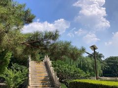-团结湖公园