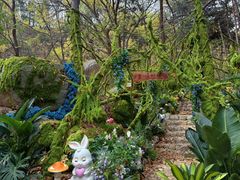 -沂蒙山旅游区云蒙景区(蒙山国家森林公园)