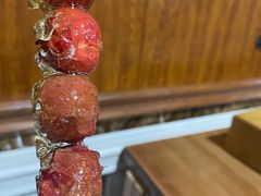 -果松木炭酸菜铜火锅·外婆参鸡汤