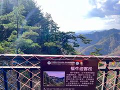 -老界岭旅游度假区
