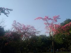 -晓港公园