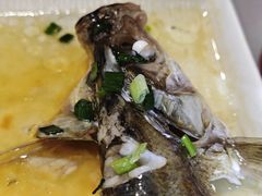 -京城小江南·北京烤鸭·江南土菜·白鱼(中关村店)