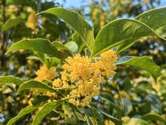 -白塘生态植物园