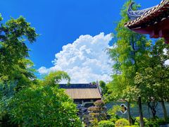 -顺峰山公园
