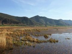 -泸沽湖国家级风景名胜区走婚桥