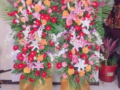 -怡花宜木鲜花店(朝阳路店)