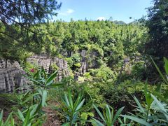 -梭布垭石林景区