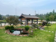 -马村鱼头