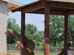 -石家庄市动物园