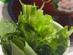 -曲氏老北京铜锅涮肉•火锅(不老街店)