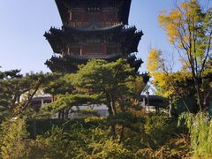 -迎泽公园