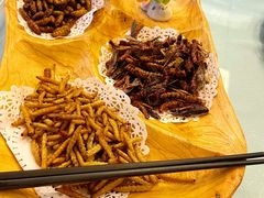 -大新明仕山庄