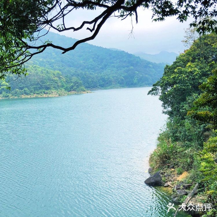 广州游攻略｜自驾游的石门国家森林公园