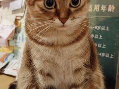 -H立方实景剧情密室(天河旗舰店)