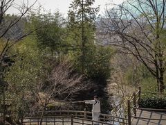 -塔川景区
