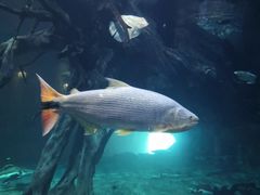 -华夏文旅海洋公园