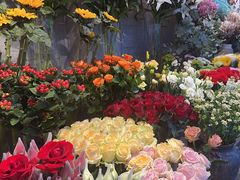 -爱尚幸福鲜花(上地实体店)