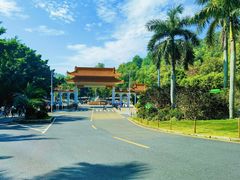 -深圳仙湖植物园
