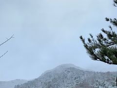 -阳台山自然风景区