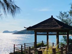 -广东惠东海龟国家级自然保护区