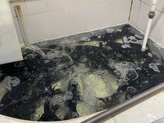 水产区-魏铭鱼头捞饭(晋阳路店)