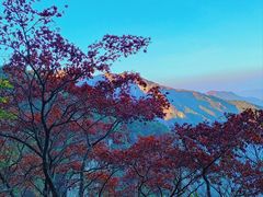 -萍乡武功山风景名胜区