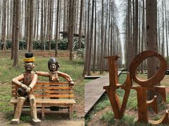 -黄海国家森林公园