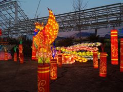 -南宫五洲植物乐园