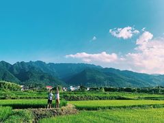 -绿茶餐厅(雁塔大悦城店)